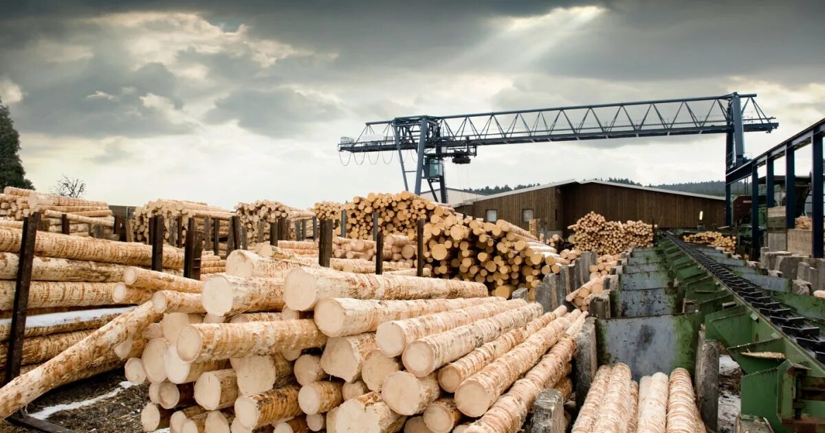 Районы деревообработки. Лесопромышленный комплекс России ( ЛПК). Лесная промышленность Германии лесозаготовка лесопиление. Лесная, деревообрабатывающая и целлюлозно-бумажная промышленность. Пилорама Лесная промышленность.