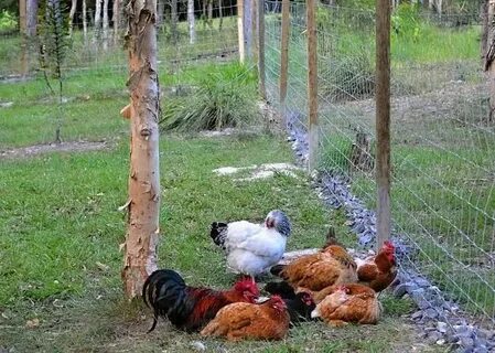 Закрываем поляну