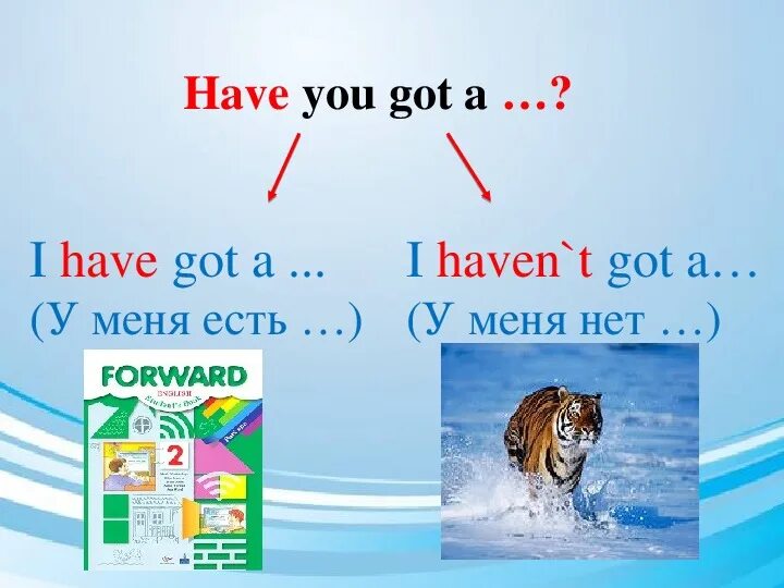 I haven t предложения. Have got/haven t got правило. Have got has got haven't got hasn't got правило. Has got hasn't got правило. Have got таблица.