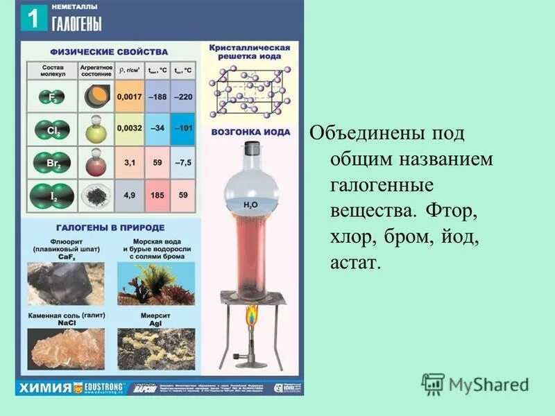 Строение фтора и хлора