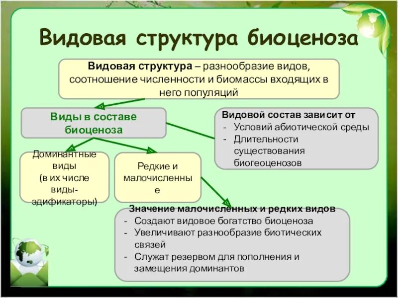 Биомасса и видовое разнообразие