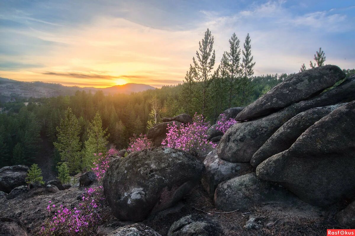 Тайга забайкалья горы. Красивое забайкалье. Забалькайский край природа. Сретенск природа. Красивое забайкалье.