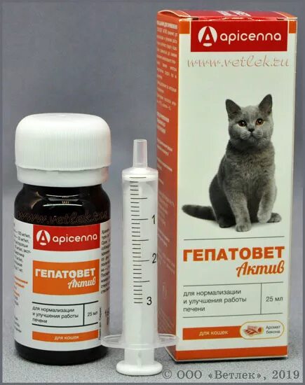 Как лечить печень у кошки