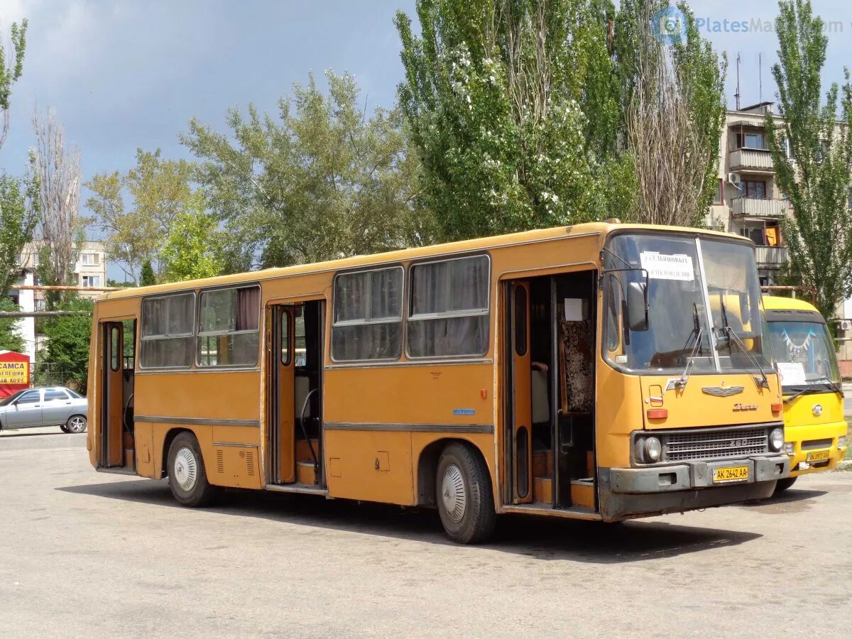 Автобус икарус 260. Икарус 260. ikarus 260 автобус. икарус 260 желтый.