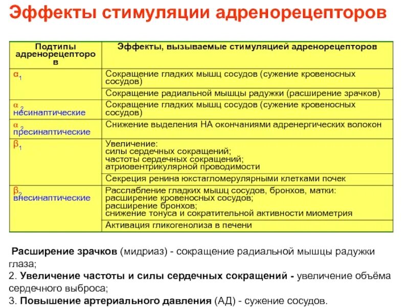 Эффекты альфа адренорецепторов. Эффекты стимуляции альфа1-адренорецепторов. Стимуляция Альфа адренорецепторов. Эффекты при стимуляции Альфа адренорецепторов. Эффекты связанные с возбуждением бета 1 адренорецепторов.