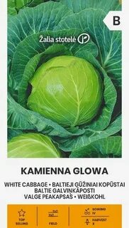Капуста санькина любовь отзывы