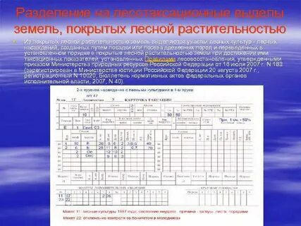 Таксационное описание