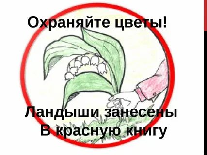Защищать охранять