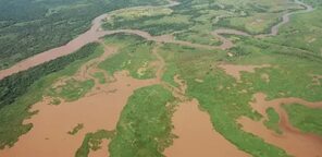 Como uma tragédia ambiental transformou o pantanal em um "deserto de água" - 31/08/2017 - UOL Notícias