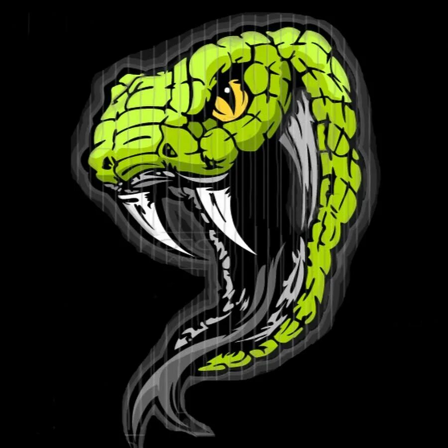 Кобра эмблема. Змея на аву. Оскал кобры. Змея аватарка. Змей в аватаре.