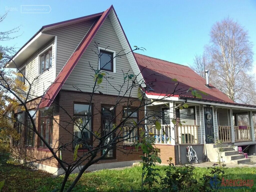 снт торики. деревня торики ленинградская область. красносельский район спб улица политрука пасечника. поселок торики красносельский. деревня торики ленинградская область.