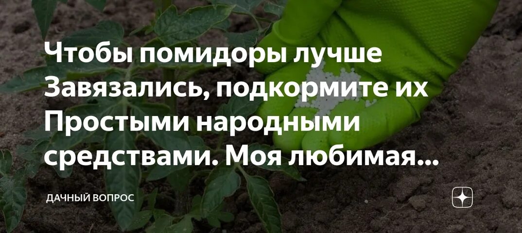 Подкормка рассады перца. Удобрения для помидоров перцев огурцов. Удобрение для огурцов помидоров перца. Народное средство для завязывания томатов. Когда лучше поливать рассаду утром или вечером