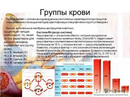 Как пишется резус фактор 1 положительный