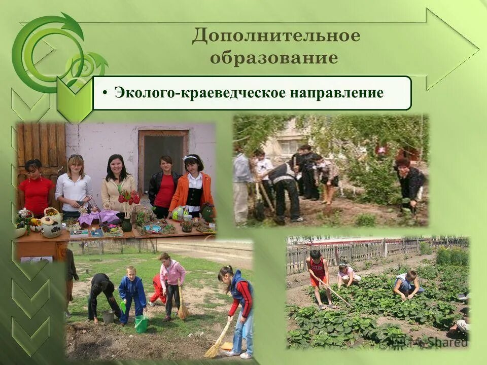 педагог дополнительного образования краеведение