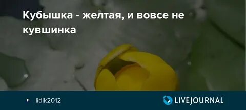 Розыгрыш кубышка