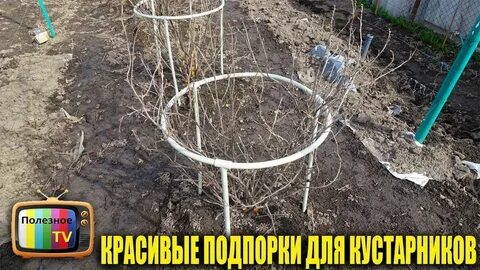 Под смородину