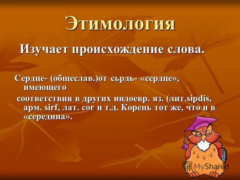 Доброе сердце. История слова сердце. Происхождение слова сердце. Пословицы о сердце. Интерпретация текста это.