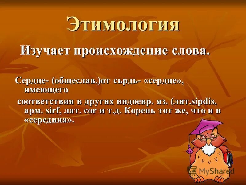 Происхождение слова новая