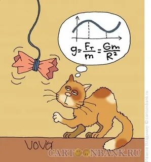 Котик математик