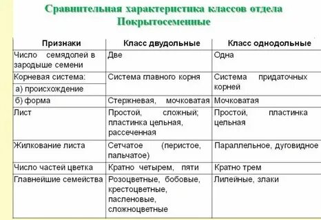 Основные признаки покрытосеменных растений