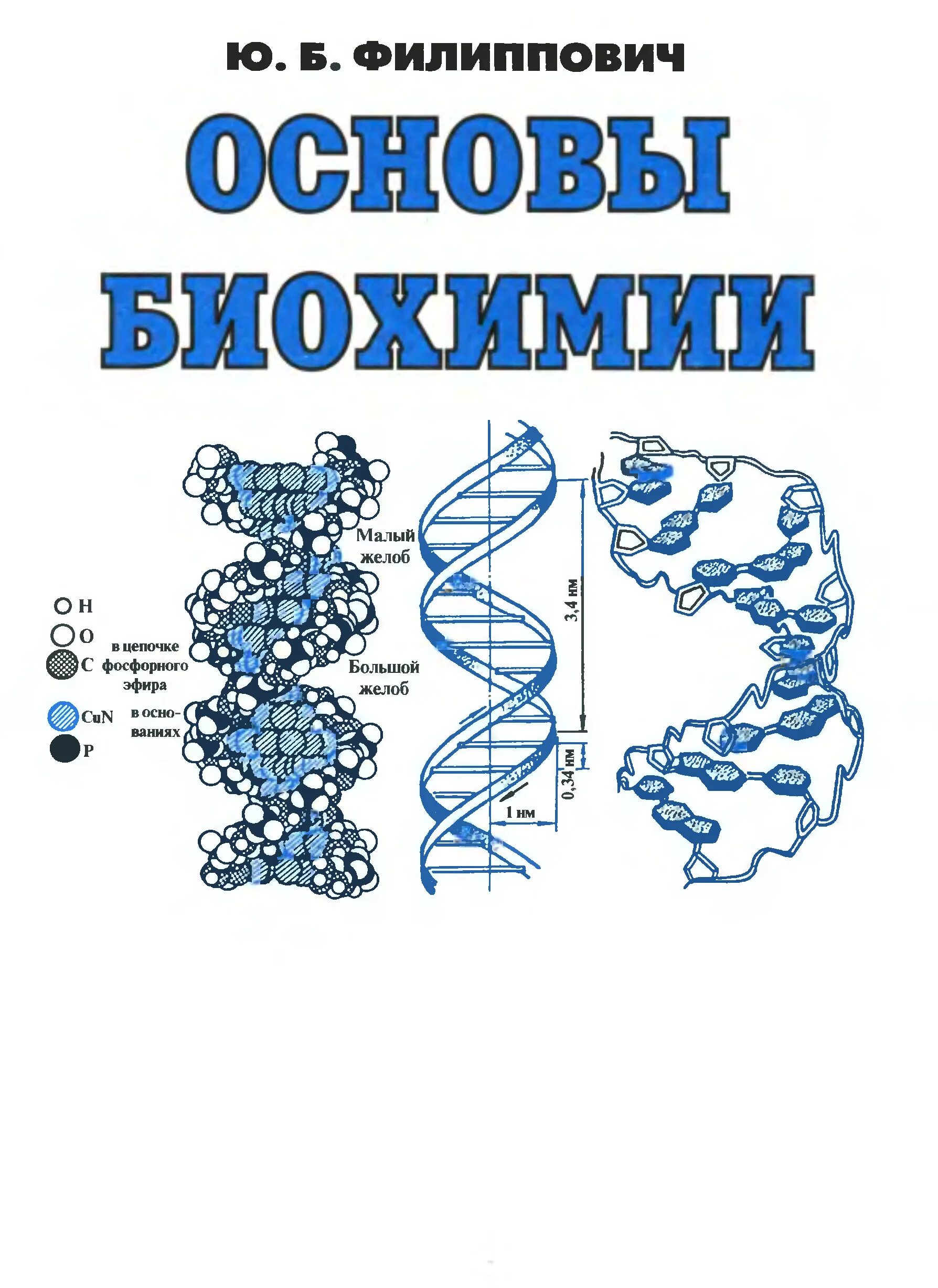 Биофизика биохимия. Филиппович основы биохимии 1999. Биохимия. Биохимия учебное пособие. Основы по биохимии.