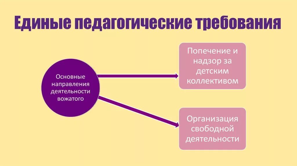 Единые педагогические требования. Единые педагогические требования вожатого. Единые педагогические требования требования. Памятка по теме единые педагогические требования.