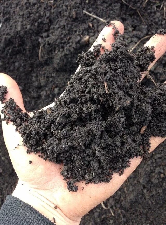 Тучные черноземы. Плодородный грунт. Перегной плодородная почва. Чернозем полевой. Гумус в черноземах.