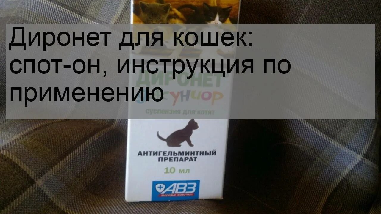 Диронет 1000 инструкция по применению для собак. Таблетки от глистов для кошек диронет. от глистов для кошек диронет. диронет для кошек таблетки. диронет для кошек таблетки инструкция.