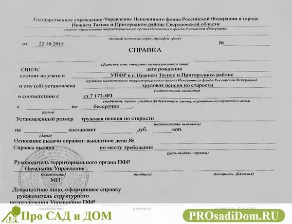 Справка о выплатах пенсионного фонда. Как выглядит справка пенсионера. Справка из пенсионного фонда. Как выглядит справка о размере пенсии.