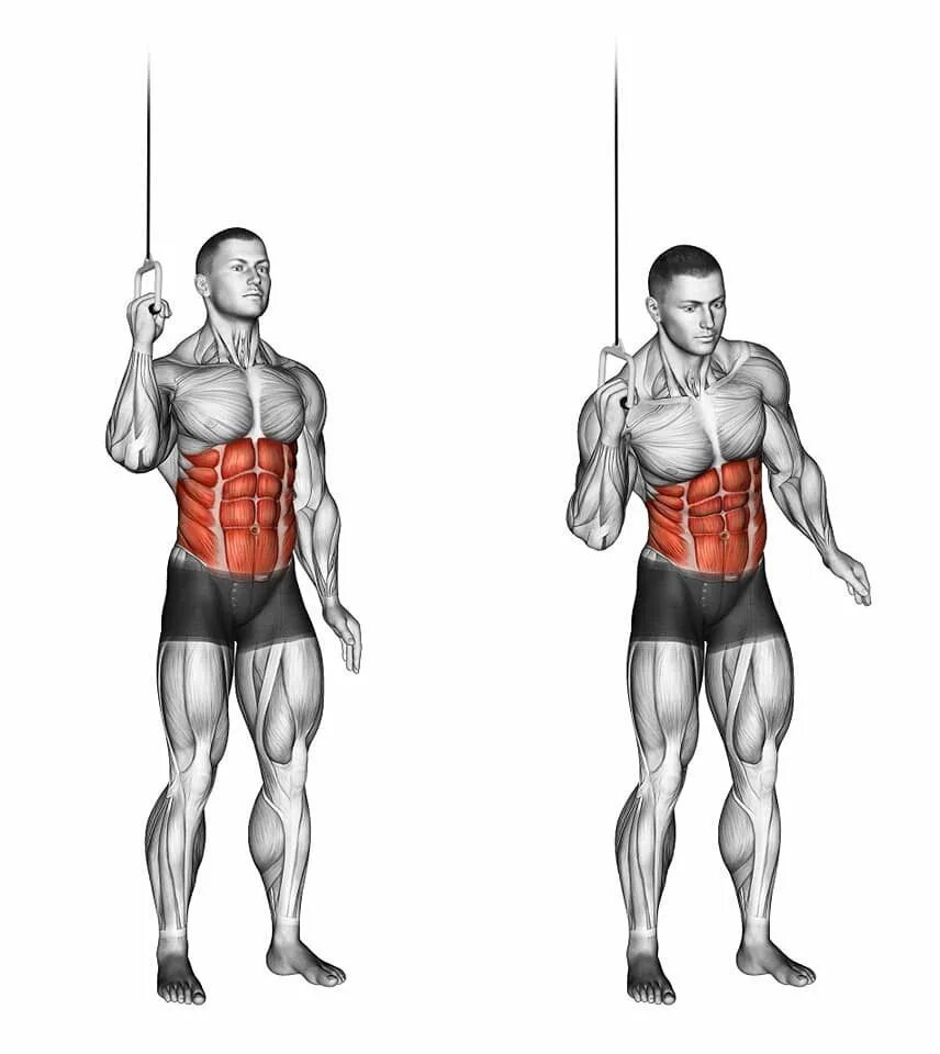 Поперечная мышца живота как накачать. Упражнения на боковые мышцы живота. Тренировка косых мышц. Тренировка косых мышц живота. Упражнения для прокачки косых мышц живота.