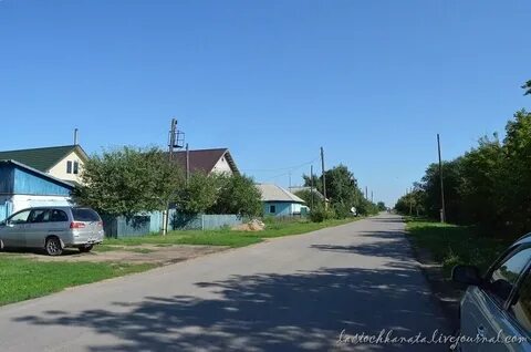 Погода в веселоярске на 10 дней