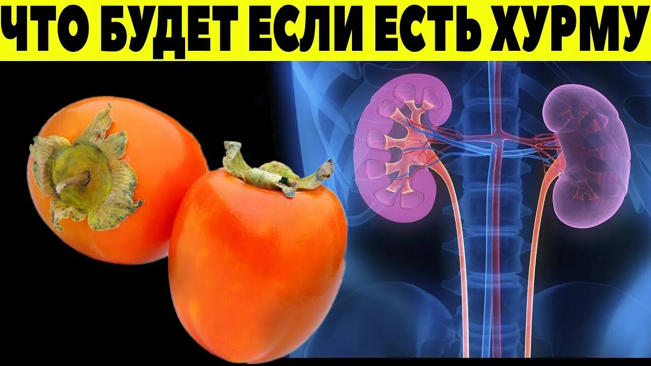 Если каждый день есть хурму. Хурма каждый день. Что будет если есть хурму каждый день. Диабетику можно хурму