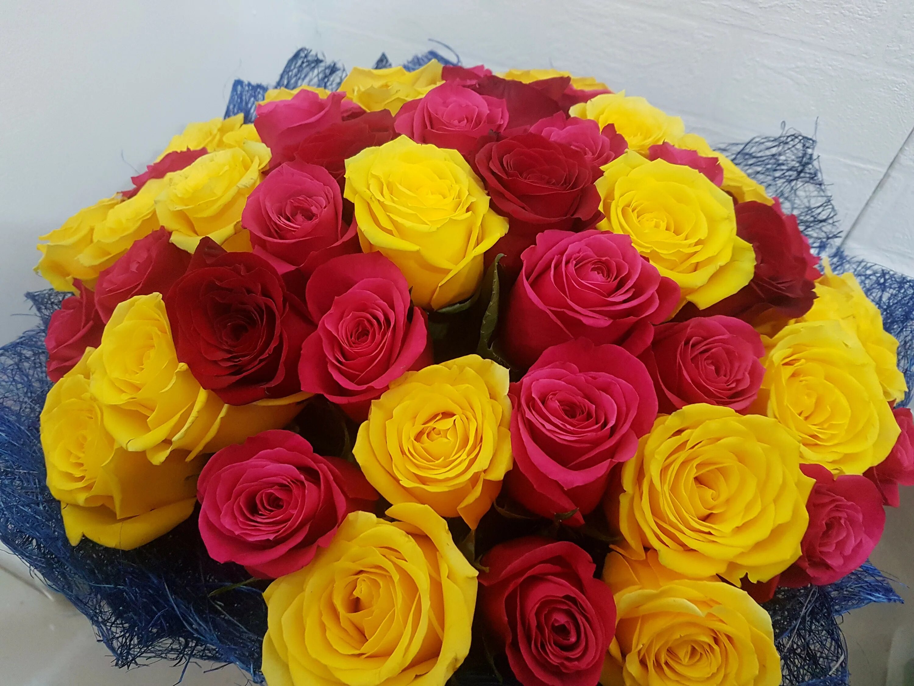 розы махачкала