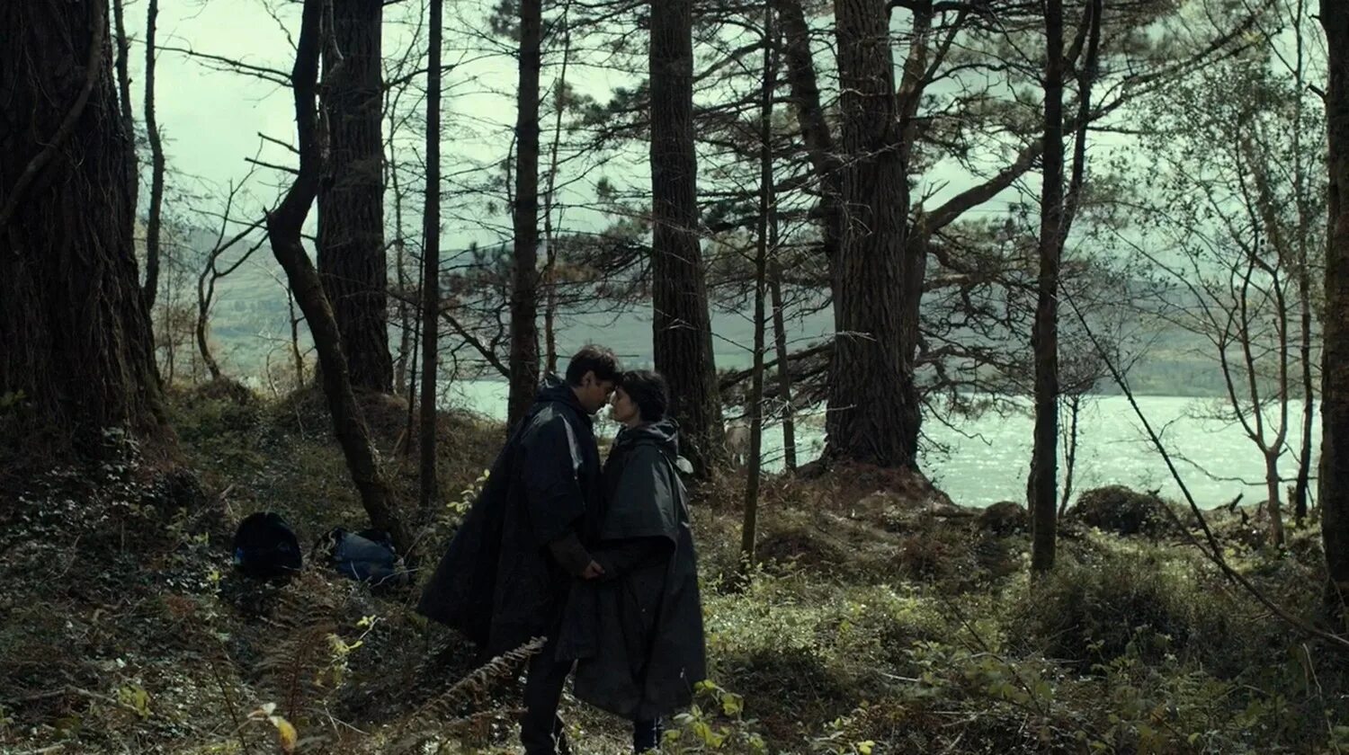 Лобстер / the Lobster (2015). Йоргос Лантимос лобстер. Рэйчел Вайс лобстер. Лобстер режиссер