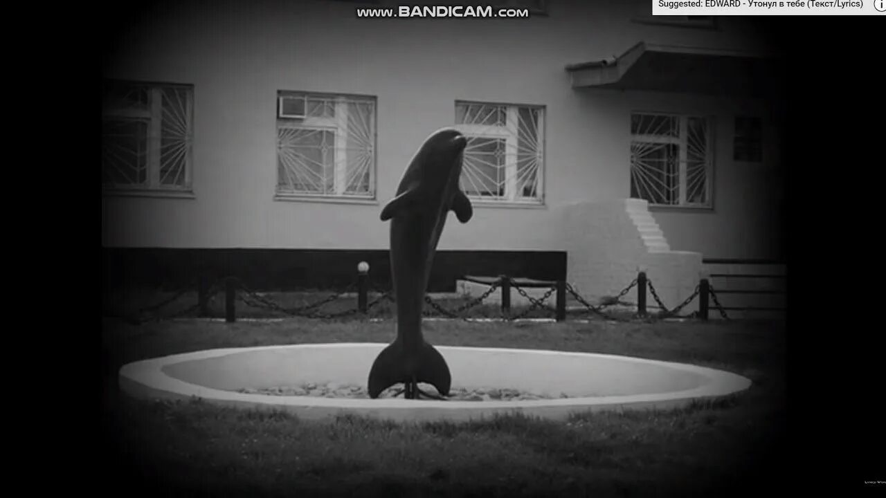 Гиа пико. Черный дельфин колония фонтан. Гио пика дельфинчик. Гио пика дельфин. Гио пика дельфинчик.