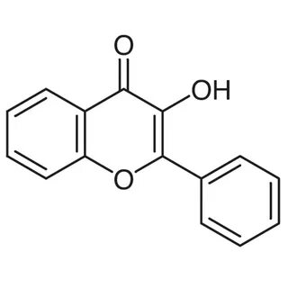69 5 0 5