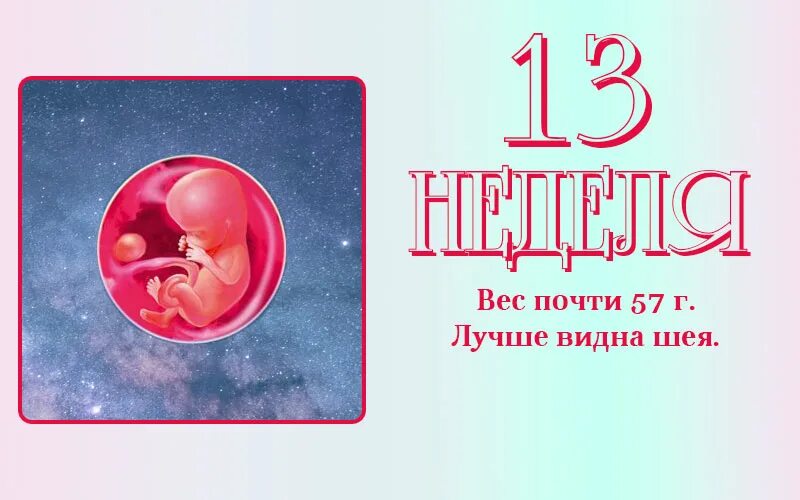 Размер эмбриона 13 недель. Размер ребенка на 13 неделе беременности. 13 недель беременности отзывы