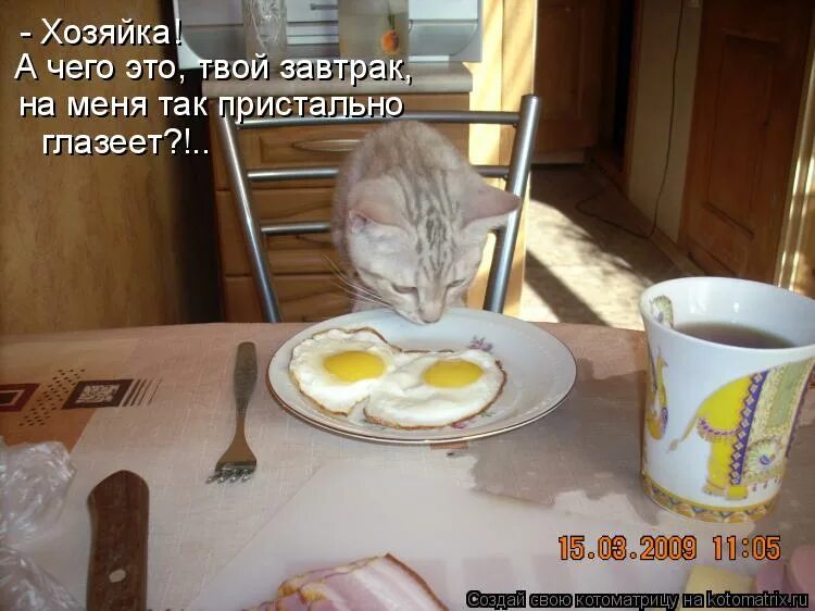 Проснулись потянулись с добрым утром. Где я был утром. Где я был утром. Где я был утром. Утро начинается начинается с кофе.