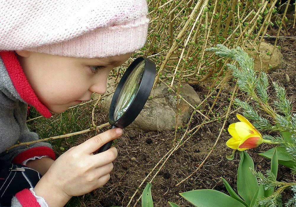 Наблюдение детей за природой. Дети наблюдают за природой. Ддетти наблюдают за природой. Дети наблюдают за природой в детском саду.