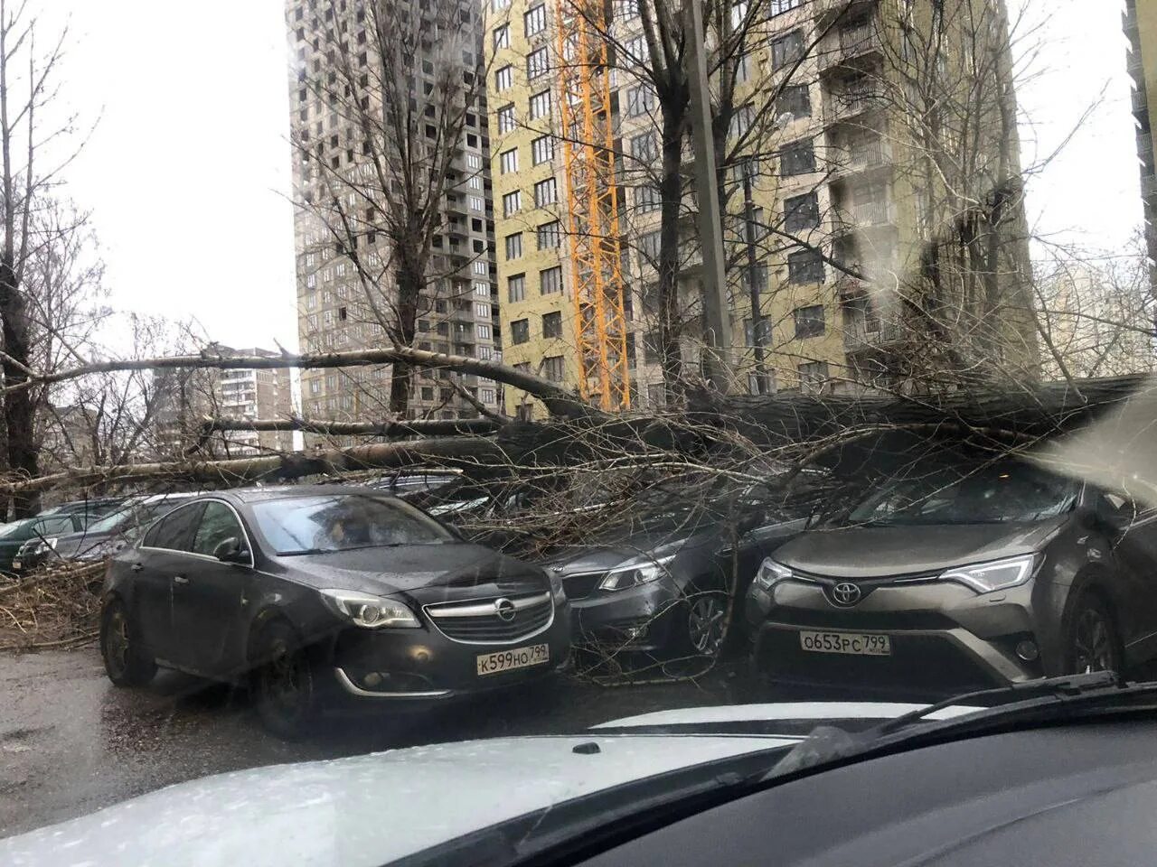 М 5 упал. Сильный ветер в Москве. Непогода в Москве. Ноябрьский ураган в Москве. Последствия непогоды в Москве.