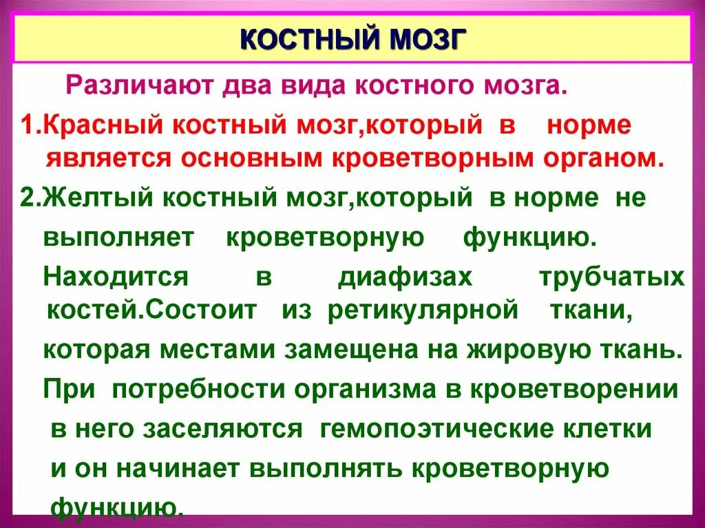 Вред костный мозг. Желтый костный мозг функции. Функции красного и желтого костного мозга. Желтый костный мозг функции кратко. Красный костный мозг строение и функции.