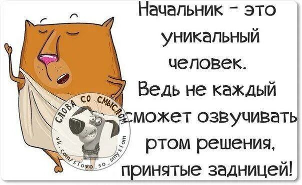 Что делать если начальник выживает с работы. Цитаты про начальника. Когда начальник. Юмор про начальство. Афоризмы про начальника.