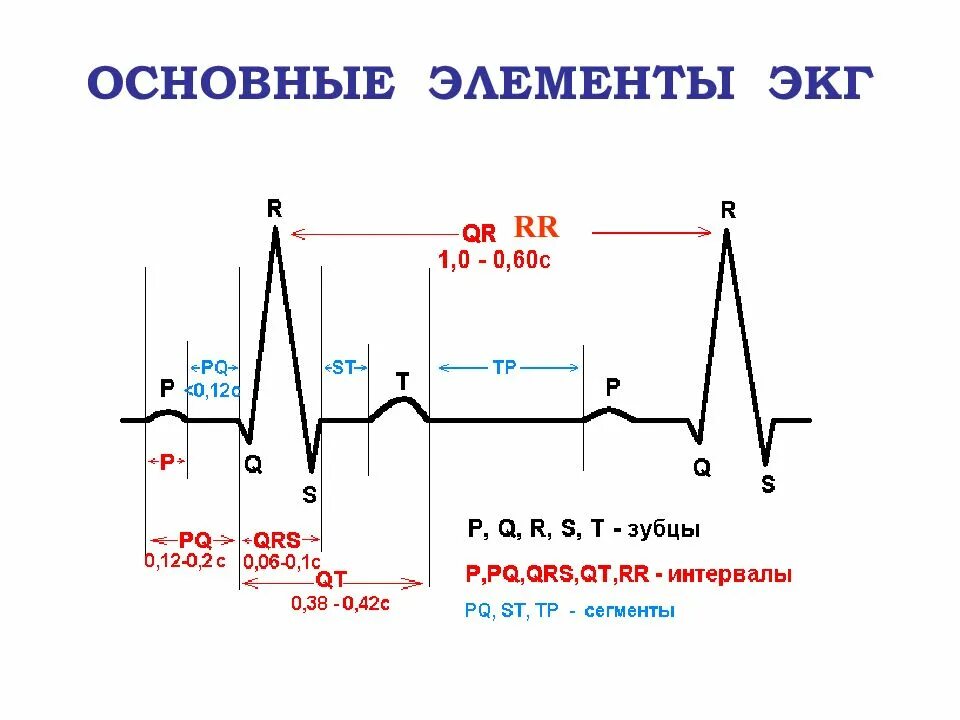 ЭКГ схема зубцов и интервалов. ЭКГ расшифровка зубцов и интервалов. Схема ЭКГ В норме. Комплекс QRS на ЭКГ норма. В каких условиях необходимо проводить исследование экг