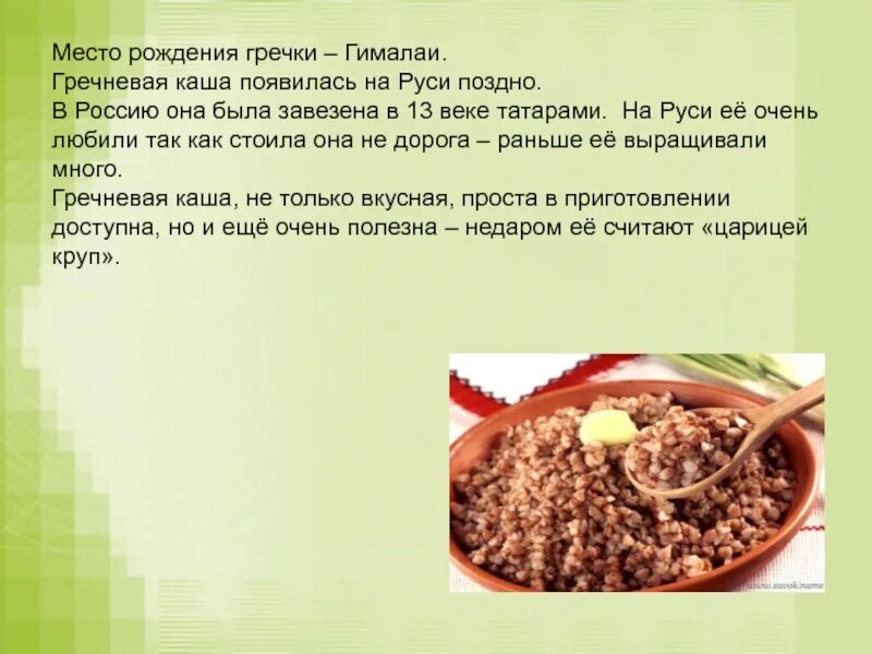 Где есть гречка. Рассказать о гречневой каше. История гречневой каши. Рассказ о гречневой каше. Гречневая каша сообщение.