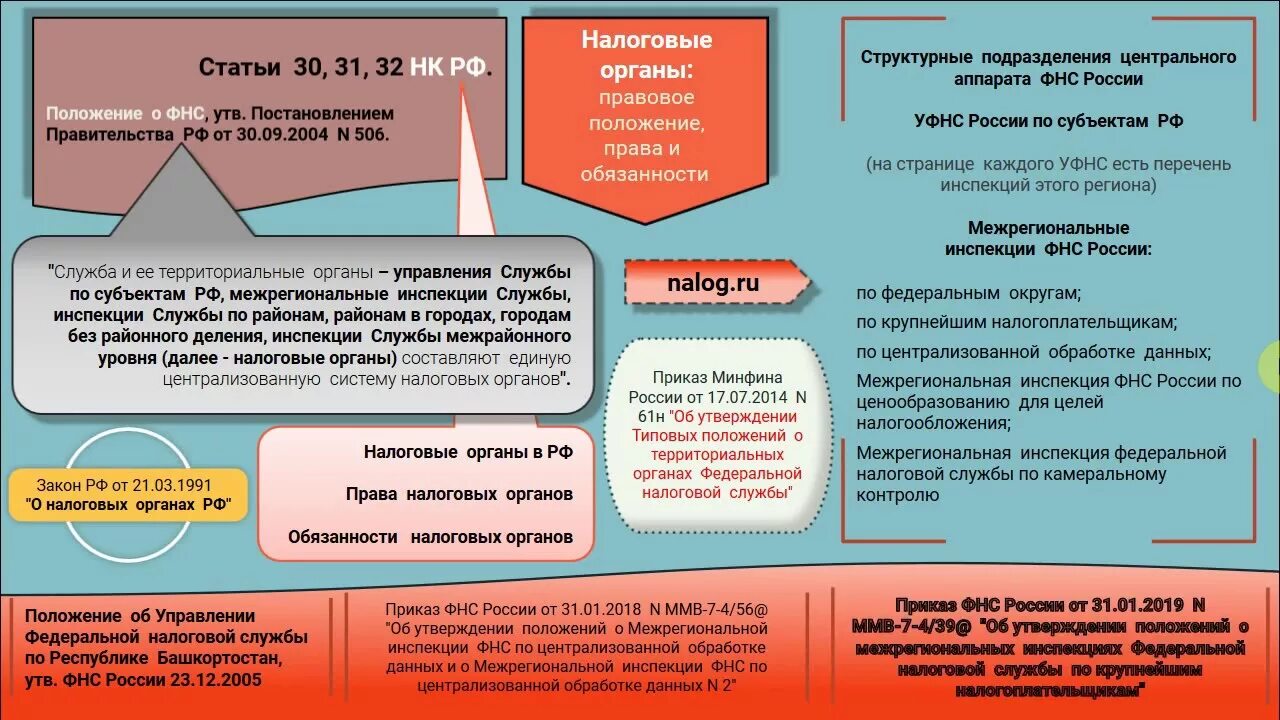 Правовое положение Федеральной налоговой службы. Правовой статус ФНС. Положение о ФНС.