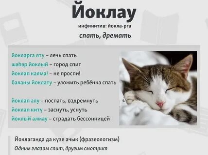 Татарские рекламы