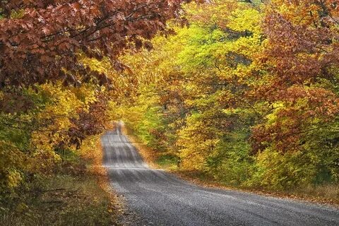 Дорога в осень