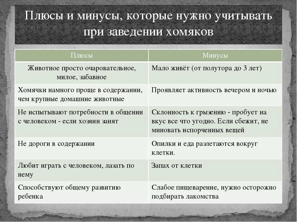 Минусы домашнего. Плюсы и минусы домашних животных. животные плюсы и минусы. плюсы и минусы хомяков. плюсы и минусы зоопарков.