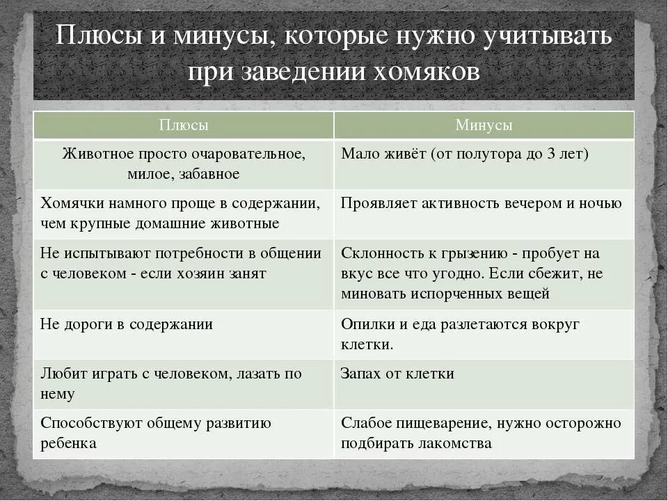 Минусы жизни в доме. Плюсы и минусы животных. Плюсы и минусы домашних животных. Плюсы и минусы хомяков. Плюсы и минусы содержания домашних животных.