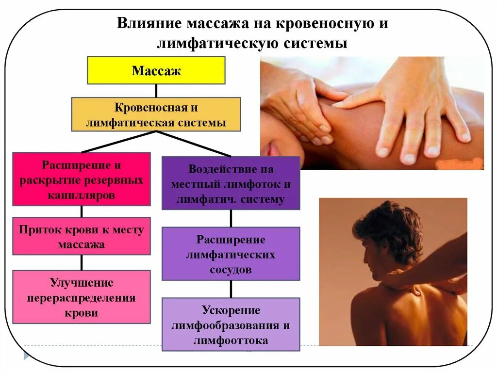 Массаж бывает виды. Действие массажа на кровеносную и лимфатическую системы. воздействие массажа на кровеносную и лимфатическую систему. влияние массажа на кровеносную систему. влияние массажа на лимфатическую систему.